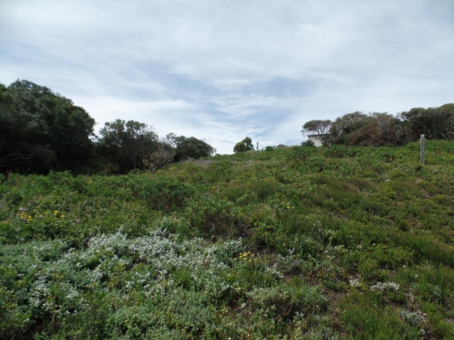 0 Bedroom Property for Sale in Eersterivierstrand Eastern Cape
